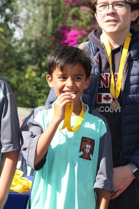 Ir a la Siguiente Foto