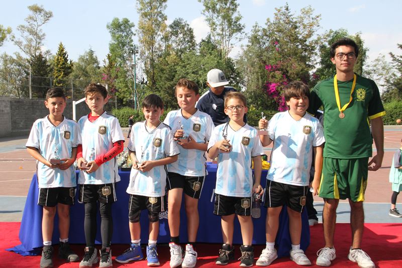 Ir a la Siguiente Foto