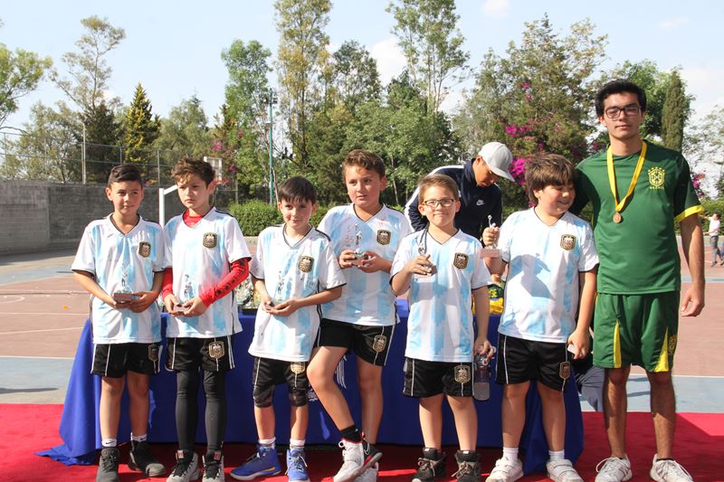 Ir a la Siguiente Foto