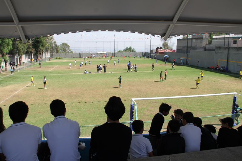 Ir a la Siguiente Foto