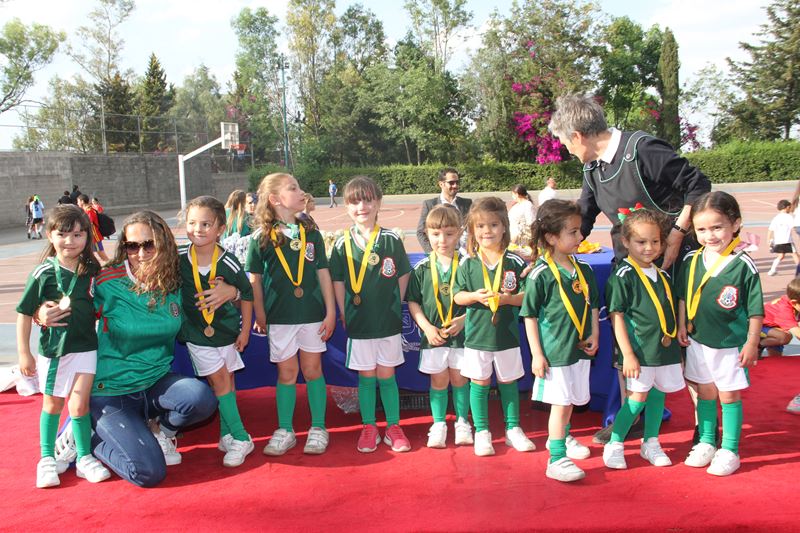 Ir a la Siguiente Foto