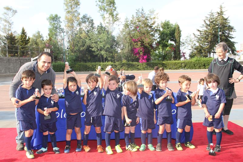 Ir a la Siguiente Foto