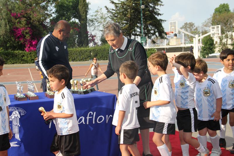 Ir a la Siguiente Foto