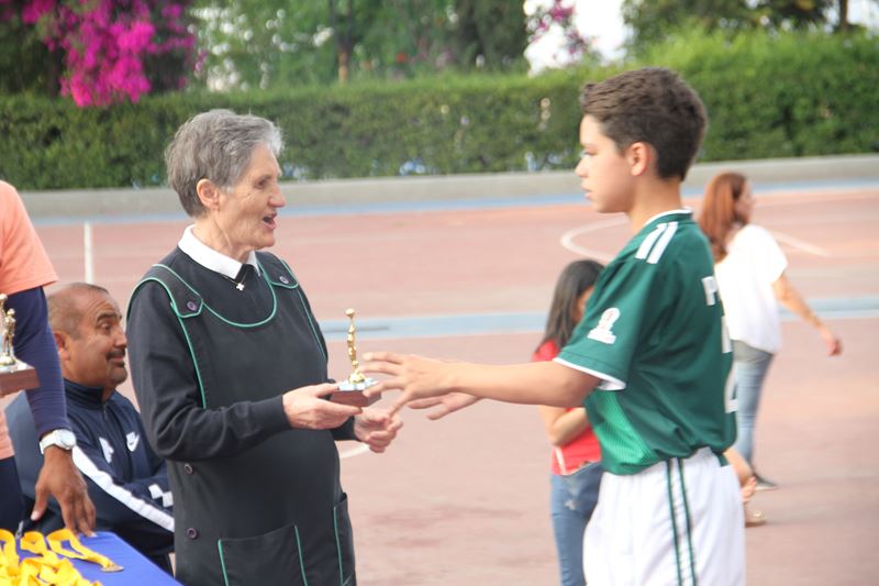 Ir a la Siguiente Foto