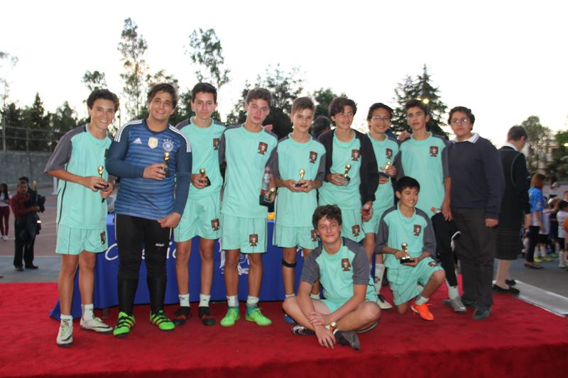 Ir a la Siguiente Foto