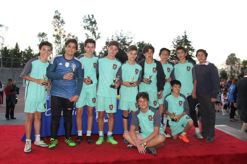 Ir a la Siguiente Foto