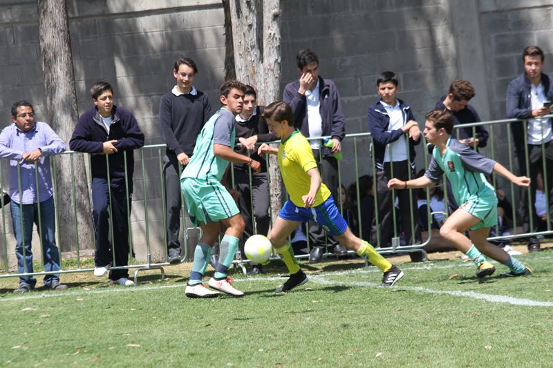 Ir a la Siguiente Foto