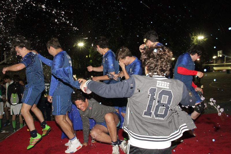 Ir a la Siguiente Foto