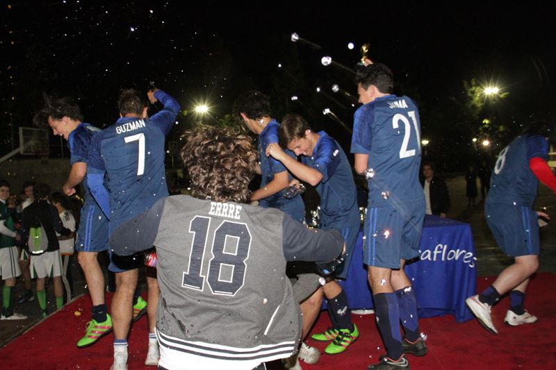 Ir a la Siguiente Foto