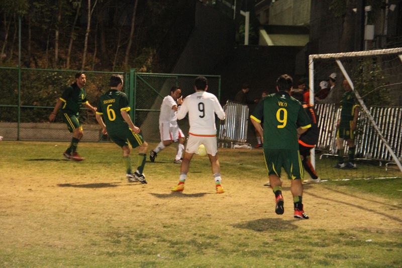 Ir a la Siguiente Foto