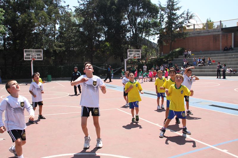 Ir a la Siguiente Foto