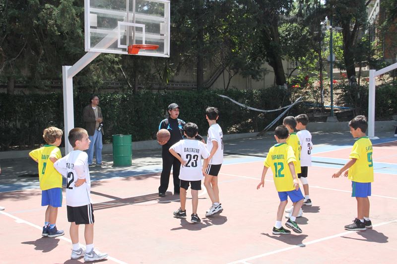 Ir a la Siguiente Foto