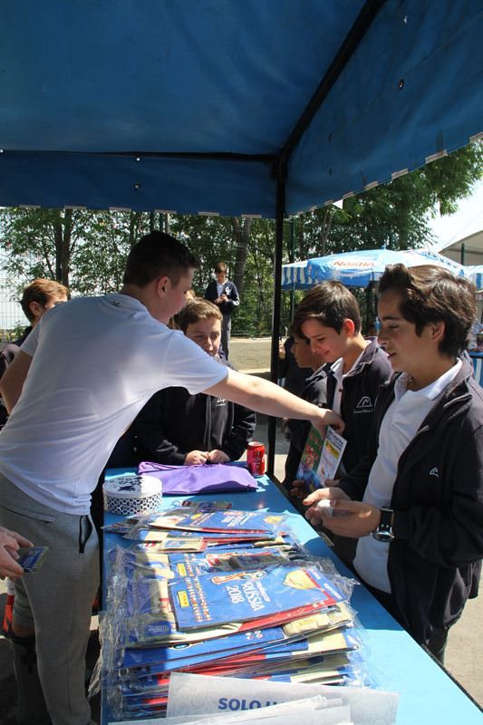 Ir a la Siguiente Foto