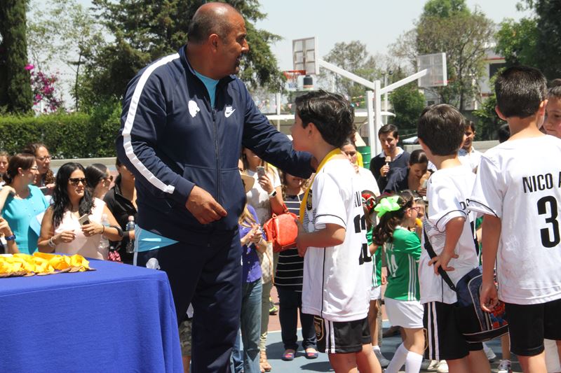 Ir a la Siguiente Foto