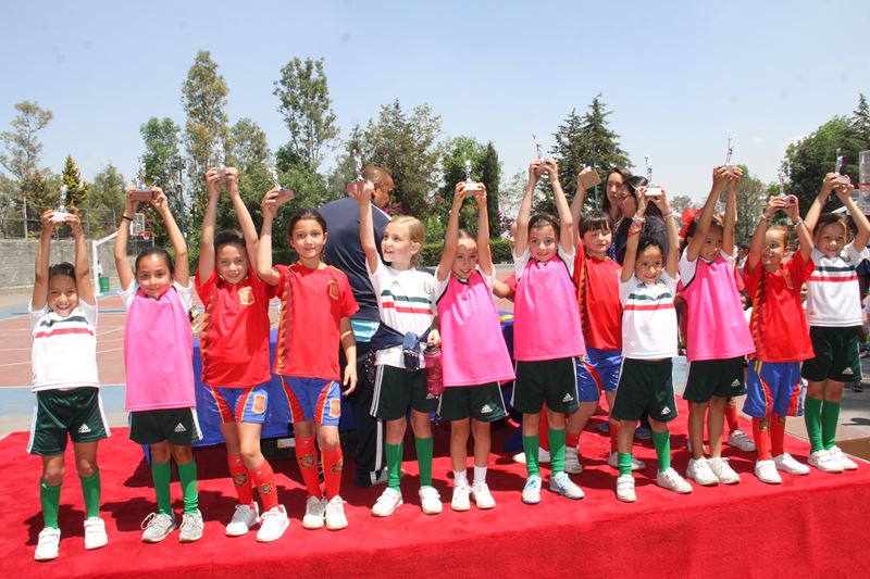 Ir a la Siguiente Foto