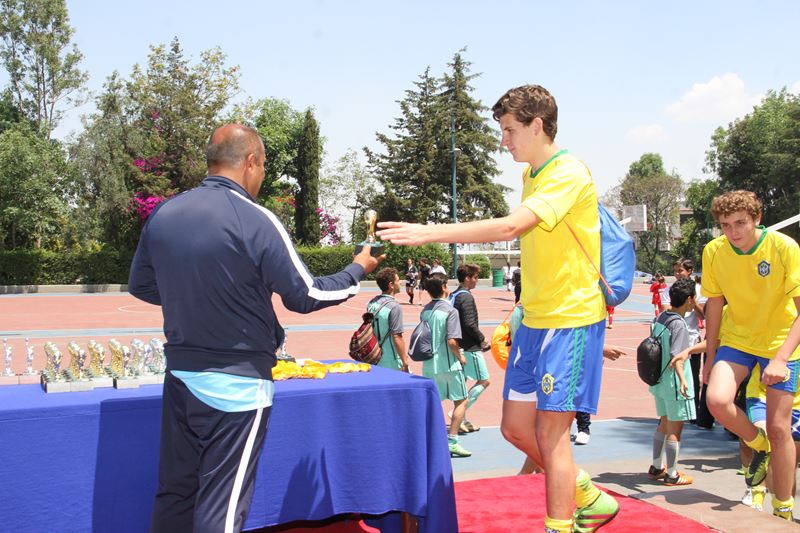 Ir a la Siguiente Foto