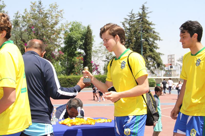 Ir a la Siguiente Foto