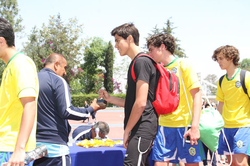 Ir a la Siguiente Foto