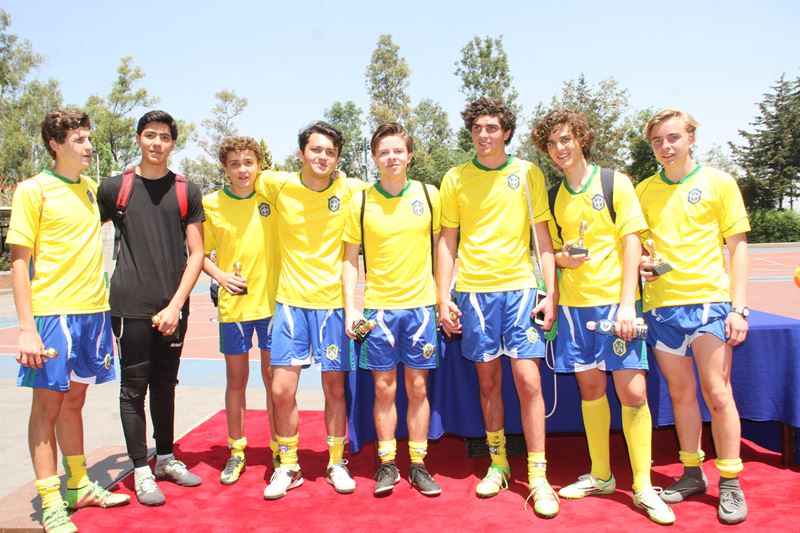 Ir a la Siguiente Foto