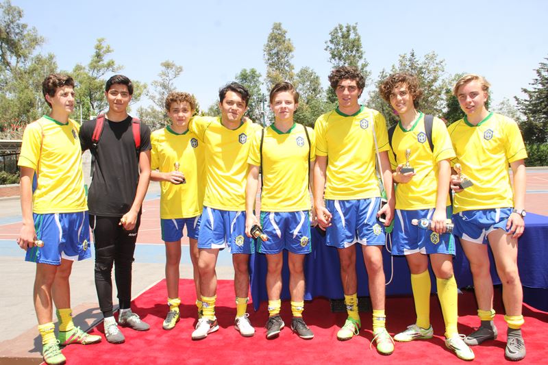 Ir a la Siguiente Foto