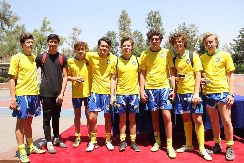 Ir a la Siguiente Foto