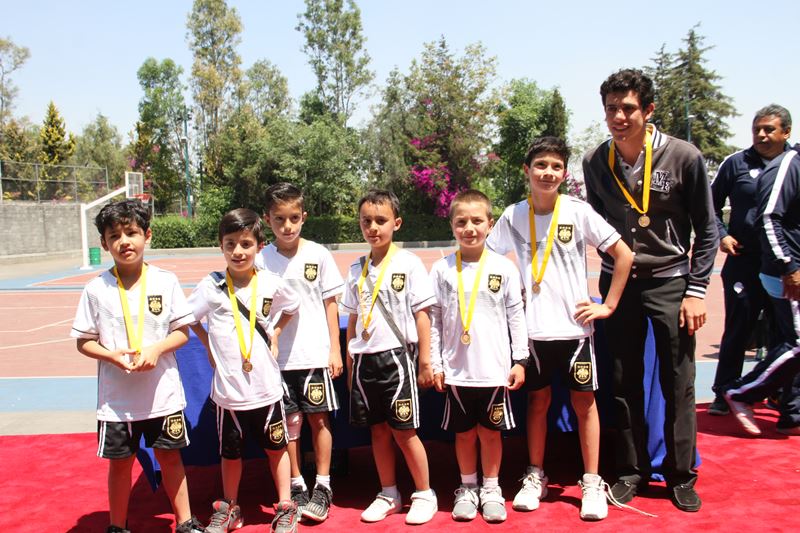 Ir a la Siguiente Foto