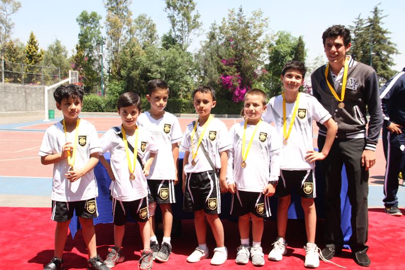 Ir a la Siguiente Foto