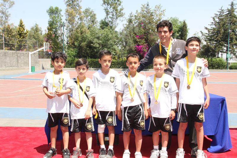 Ir a la Siguiente Foto