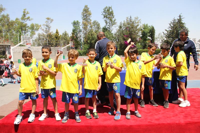 Ir a la Siguiente Foto