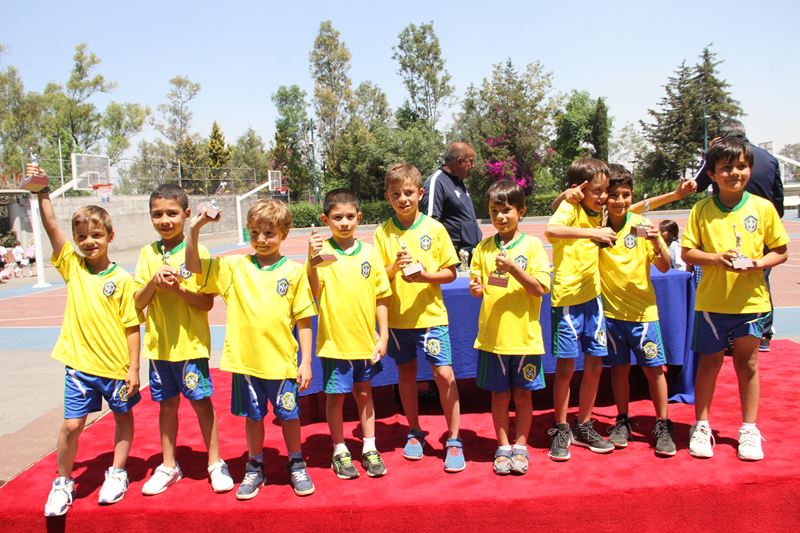 Ir a la Siguiente Foto