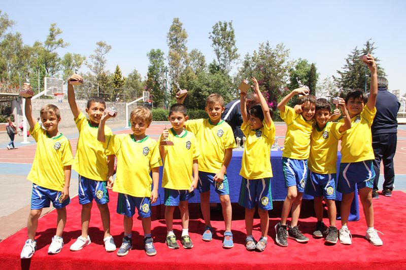 Ir a la Siguiente Foto