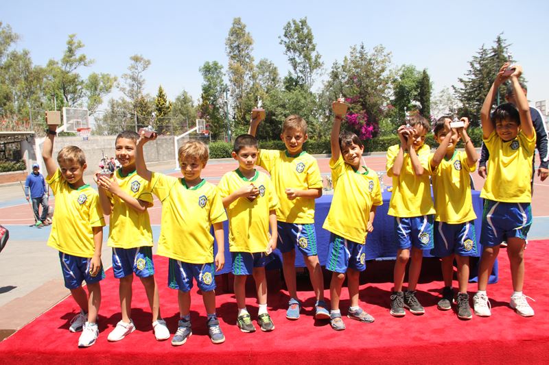 Ir a la Siguiente Foto