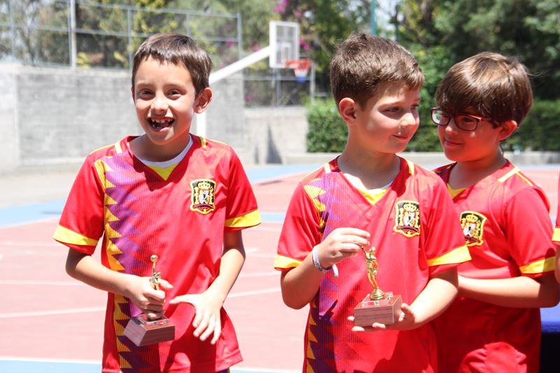 Ir a la Siguiente Foto