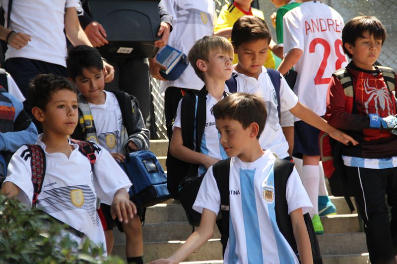 Ir a la Siguiente Foto