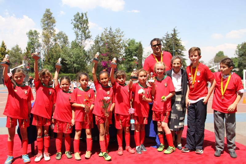 Ir a la Siguiente Foto