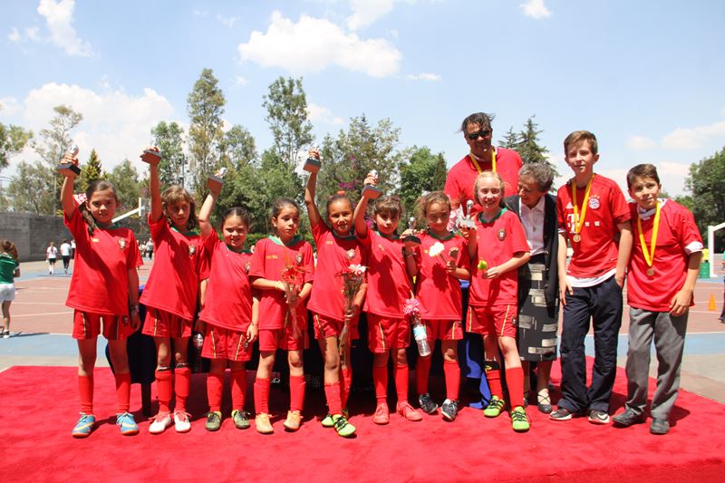 Ir a la Siguiente Foto