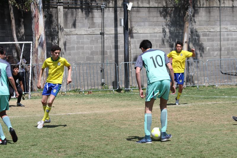 Ir a la Siguiente Foto