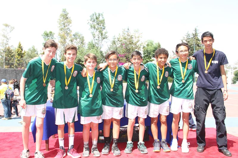 Ir a la Siguiente Foto