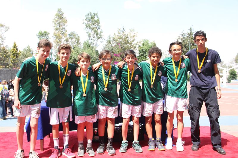 Ir a la Siguiente Foto