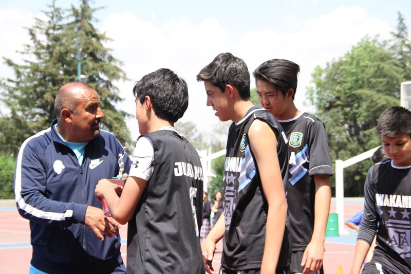 Ir a la Siguiente Foto