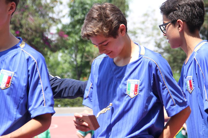 Ir a la Siguiente Foto