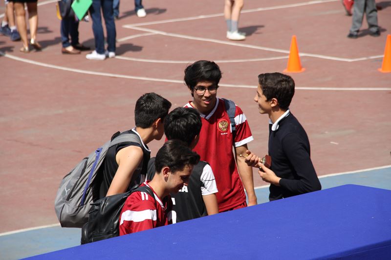 Ir a la Siguiente Foto