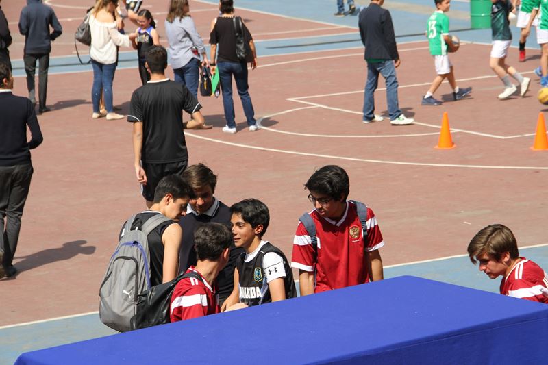 Ir a la Siguiente Foto