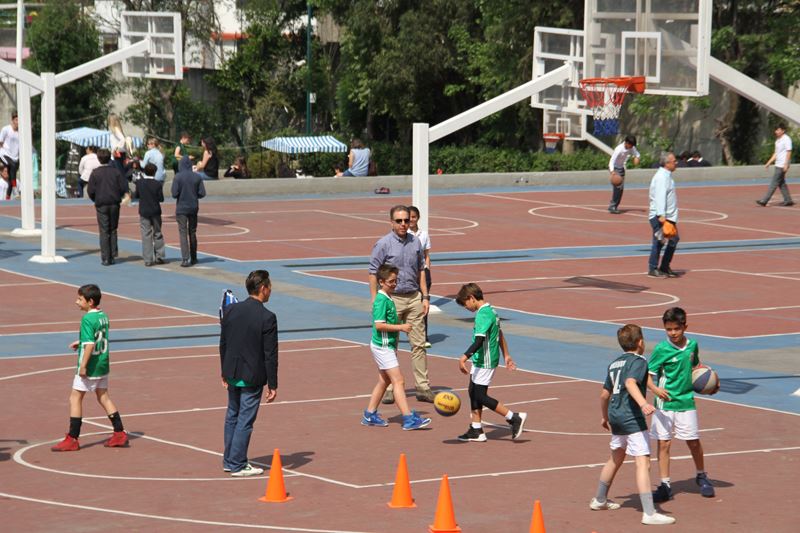 Ir a la Siguiente Foto