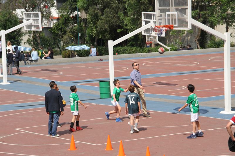 Ir a la Siguiente Foto