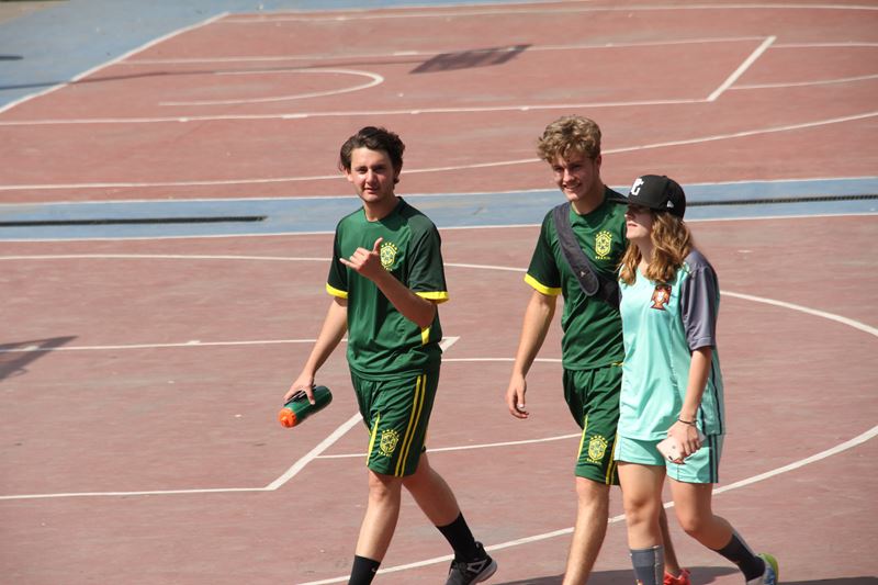 Ir a la Siguiente Foto