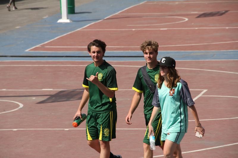 Ir a la Siguiente Foto