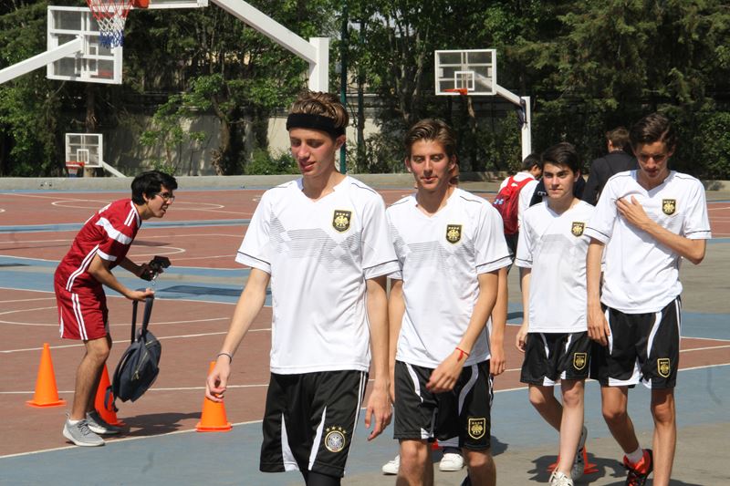 Ir a la Siguiente Foto