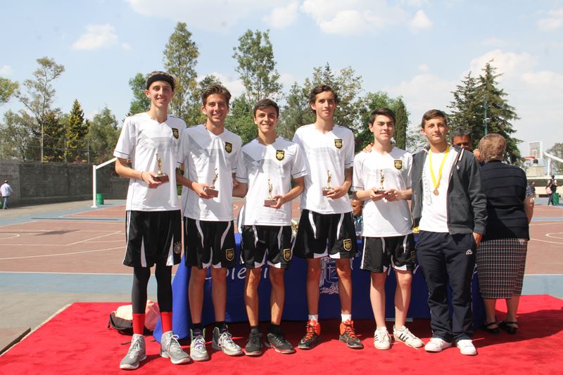 Ir a la Siguiente Foto