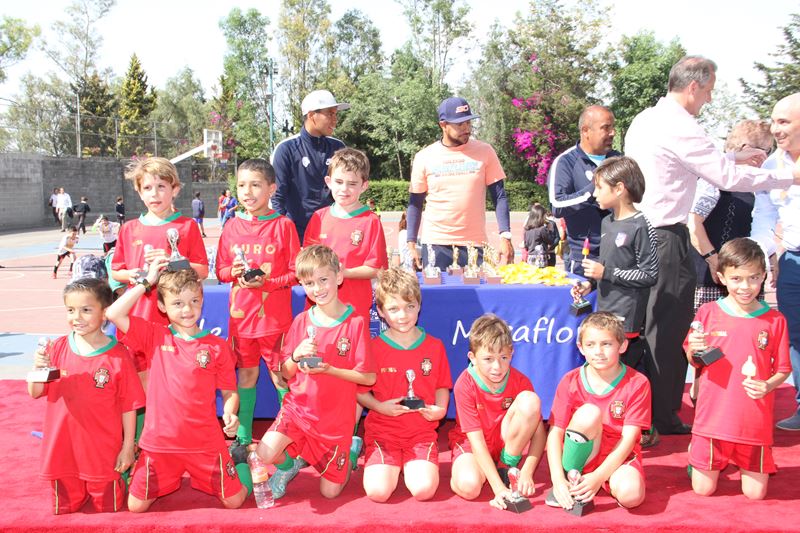 Ir a la Siguiente Foto